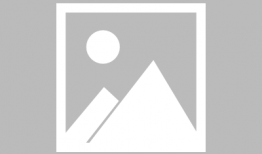 成人爽视频,揭秘激情瞬间，探索情感释放的奥秘